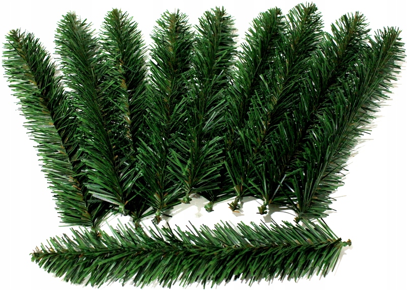 

Gałązka Świerk Igliwie 20 cm Zestaw 10 Szt