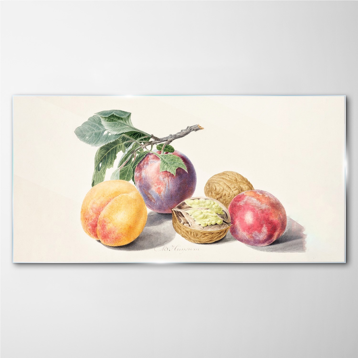 

Foto-obraz szklany Owoce gałąź liście 100x50 cm