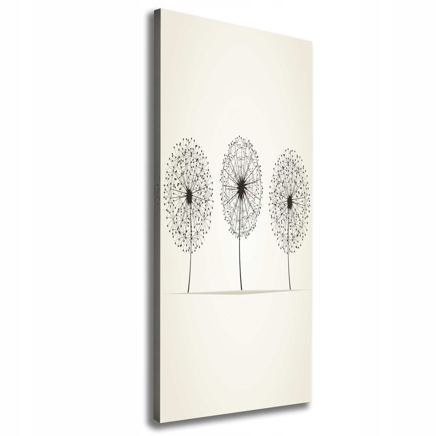 

Foto obraz na płótnie do salonu Dmuchawce 50x125cm