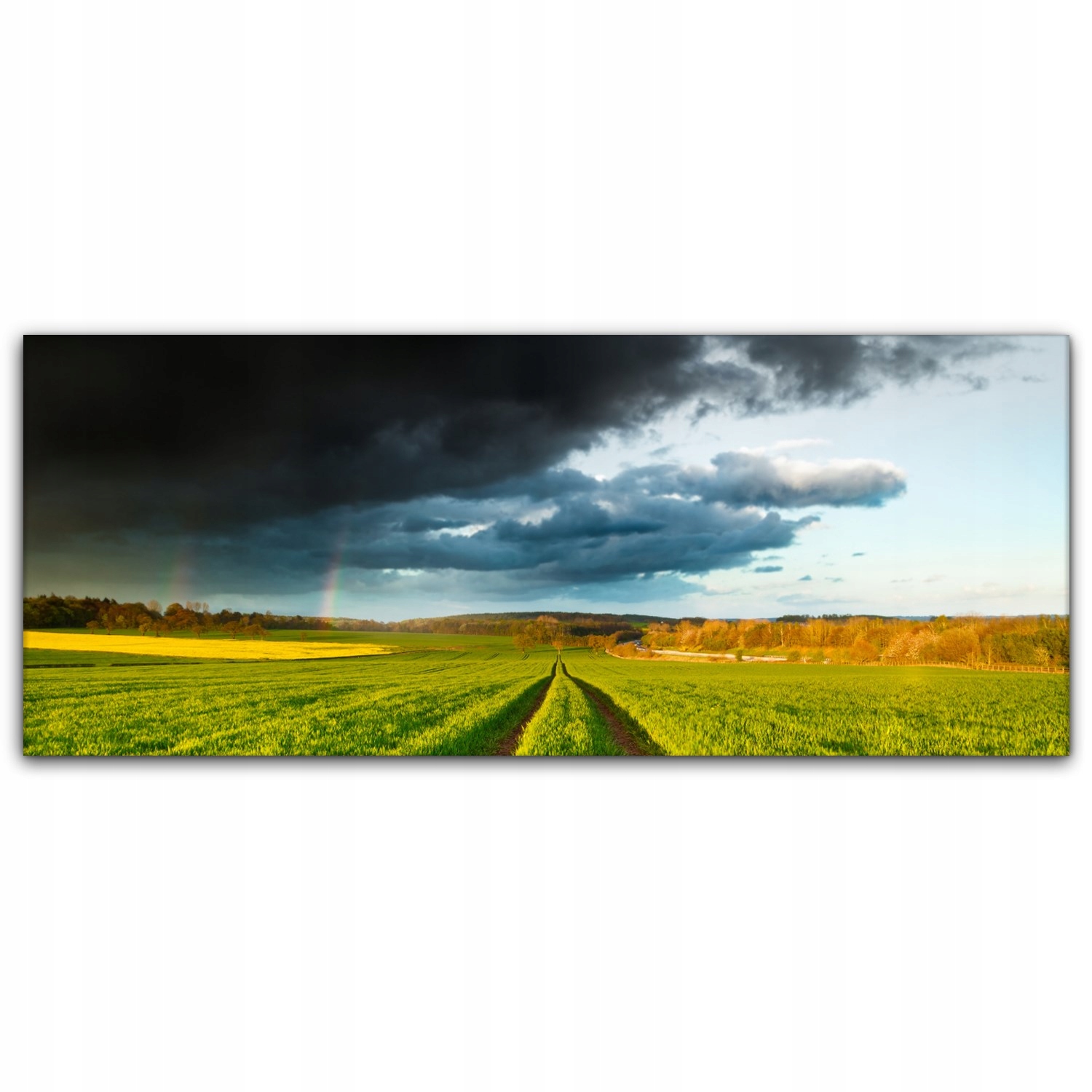 

Obraz na płótnie z foto 125x50 Deszcz Niebo Chmury