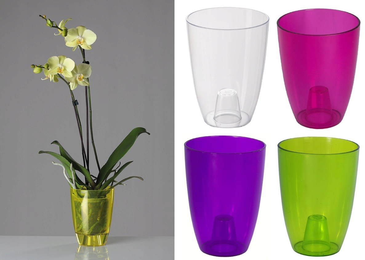 

Osłonka do storczyka transparentna okrągła 6 kolor