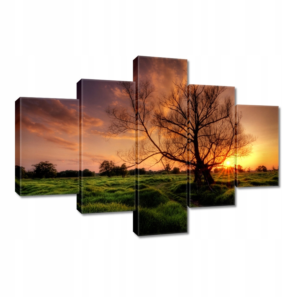 

Obrazy 100x70 Wieczór w Rogalinie