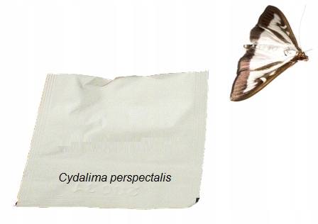 

Feromon Wabiący Ćmę Bukszpanową do Pułapek