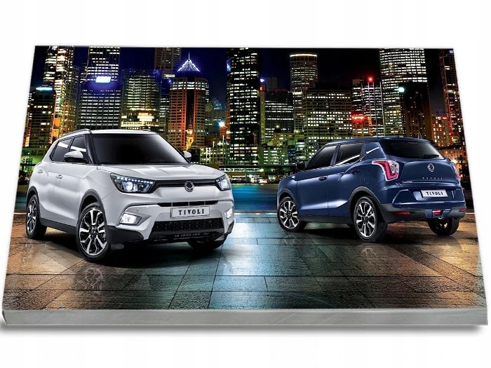 

SsangYong Tivoli 2015-2019 Instrukcja Obsługi
