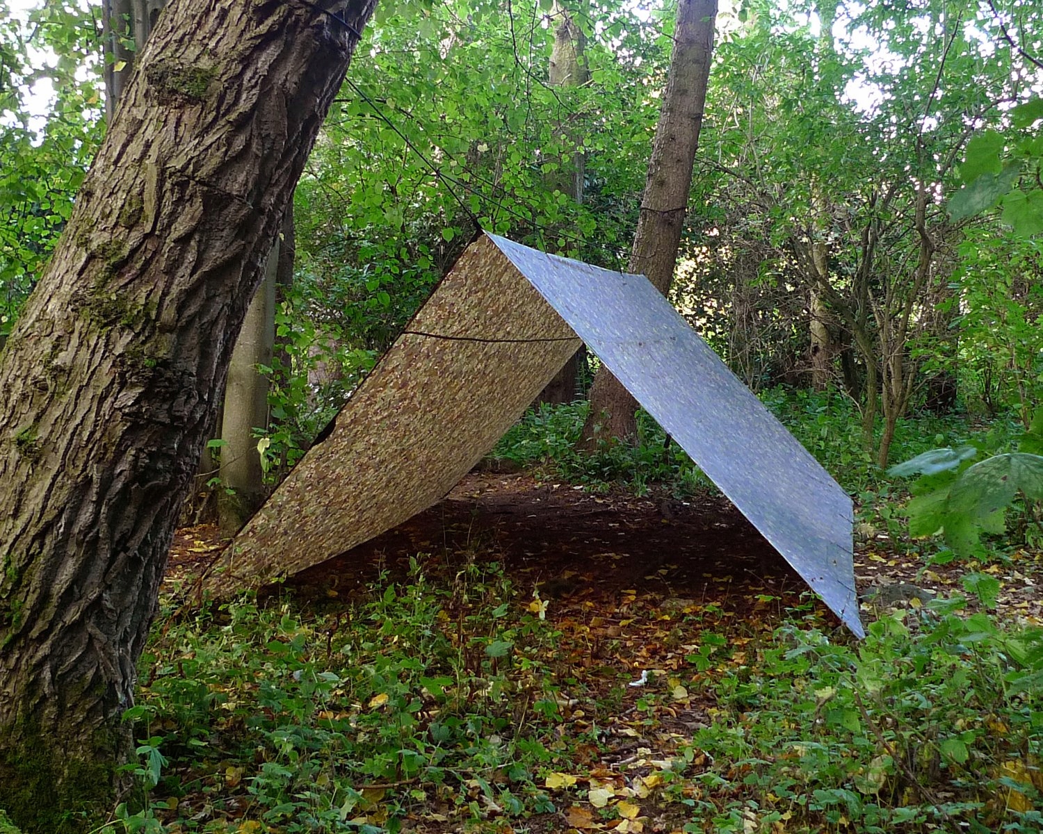 Plandeka Tarp Wodoodporna Wielofunkcyjna Biwakowa Kamuflaż 4x4 DD HAMMOCKS — miniatura 4