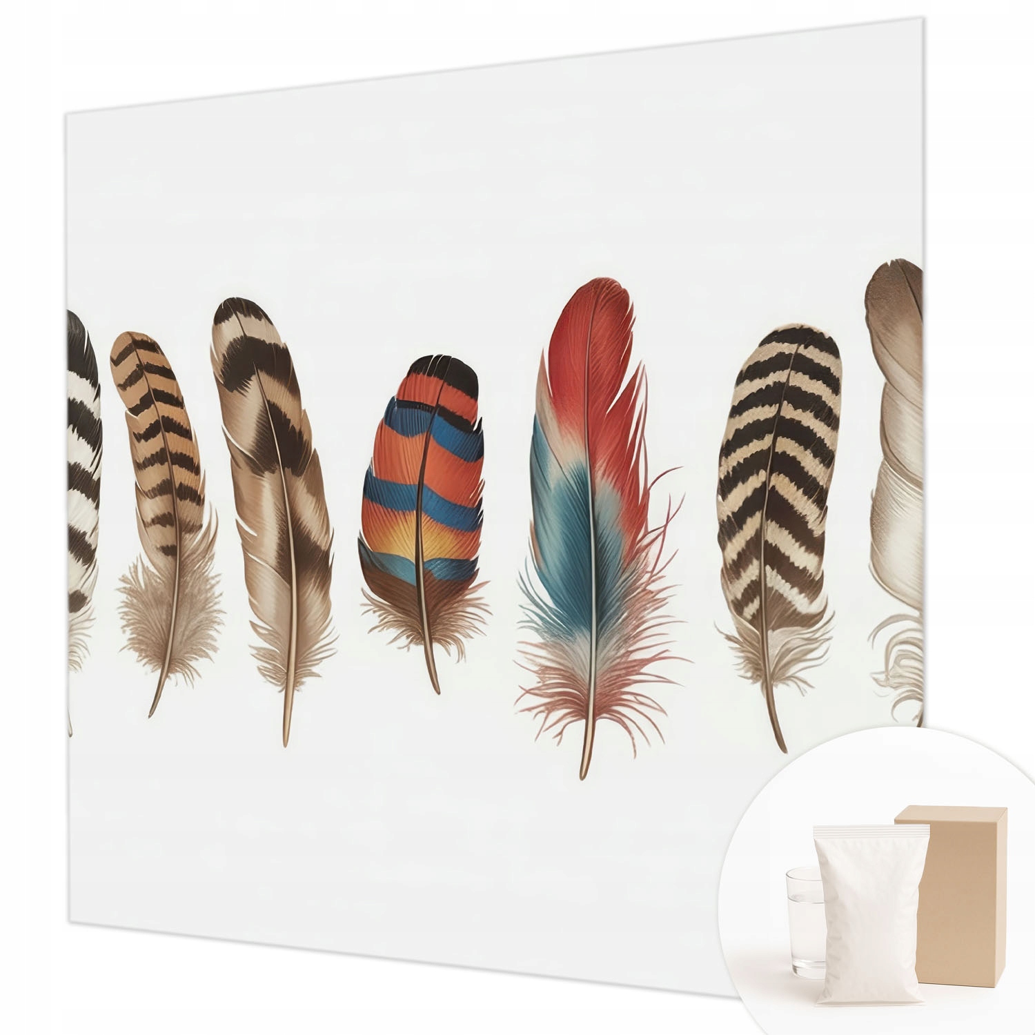 Flizelinová fototapeta Trvalá dekorace domu lepidlo Barevné peří 250 x 250 cm