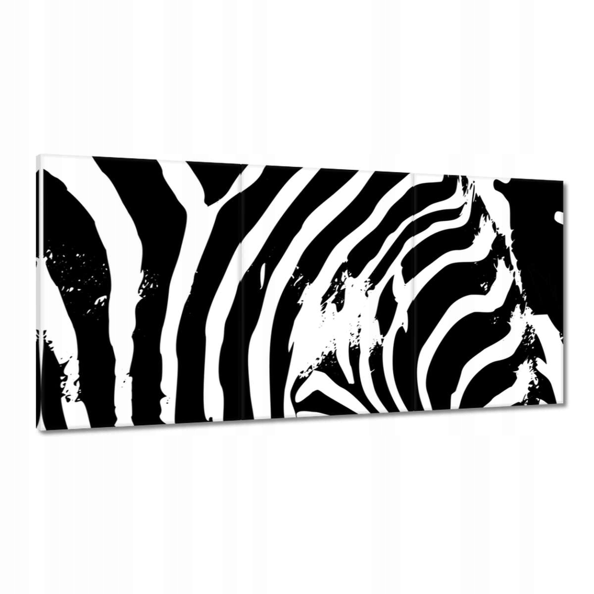 Obrazy 180x90 Zebra Pruhy Zvieratko