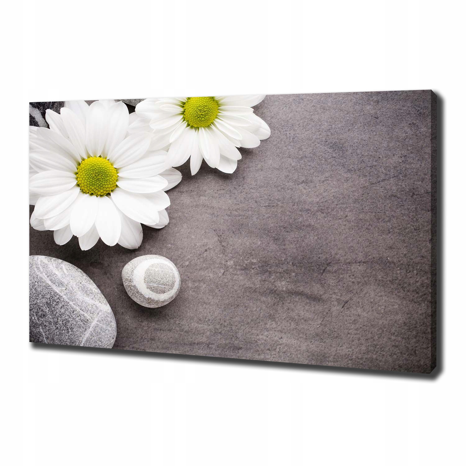 Fotoobraz canvas na zeď Gerbera 100 x 70 cm
