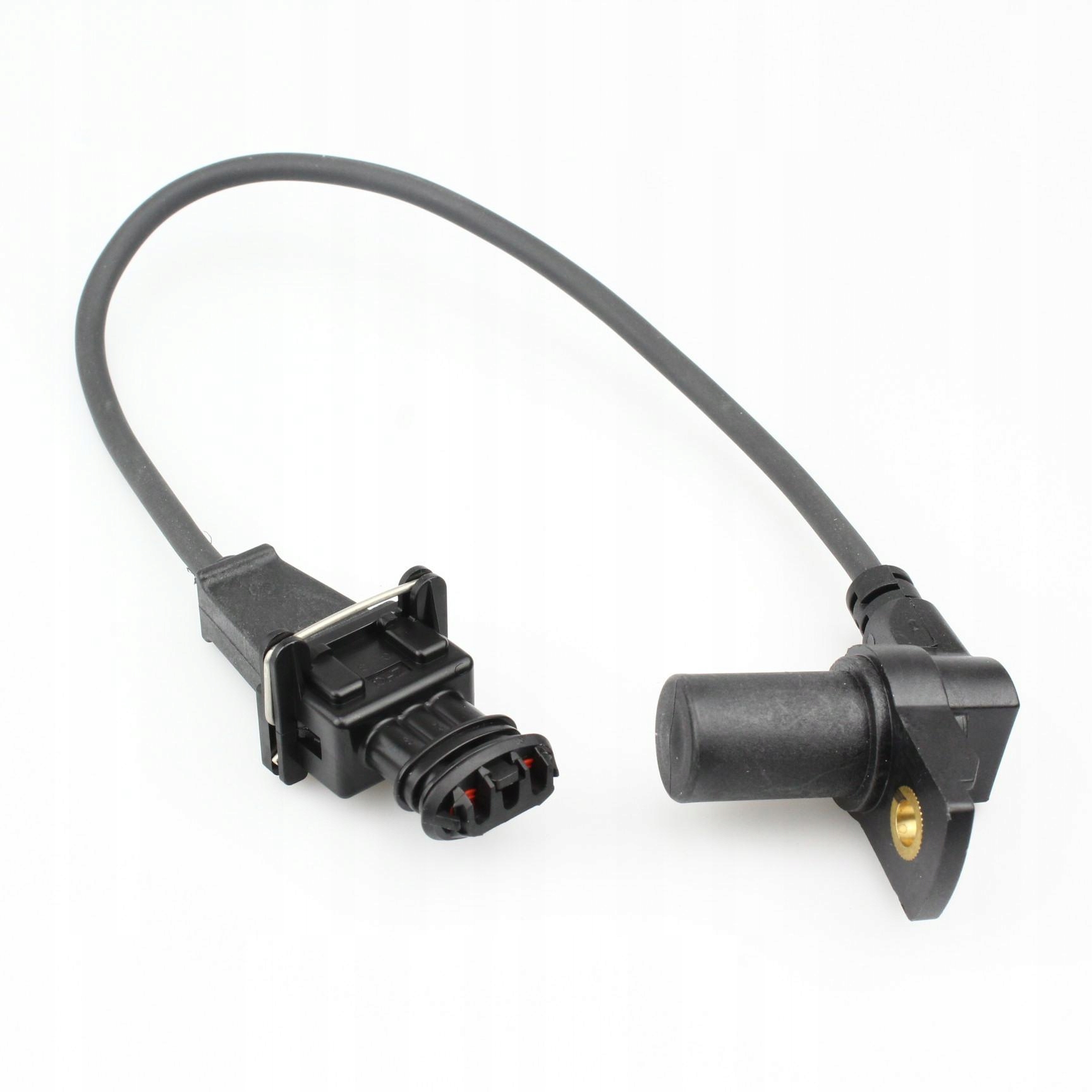 tmhです。seea Seea Emma Swim Short Nautilus|沖縄サーフィンショップ「YES SURF」