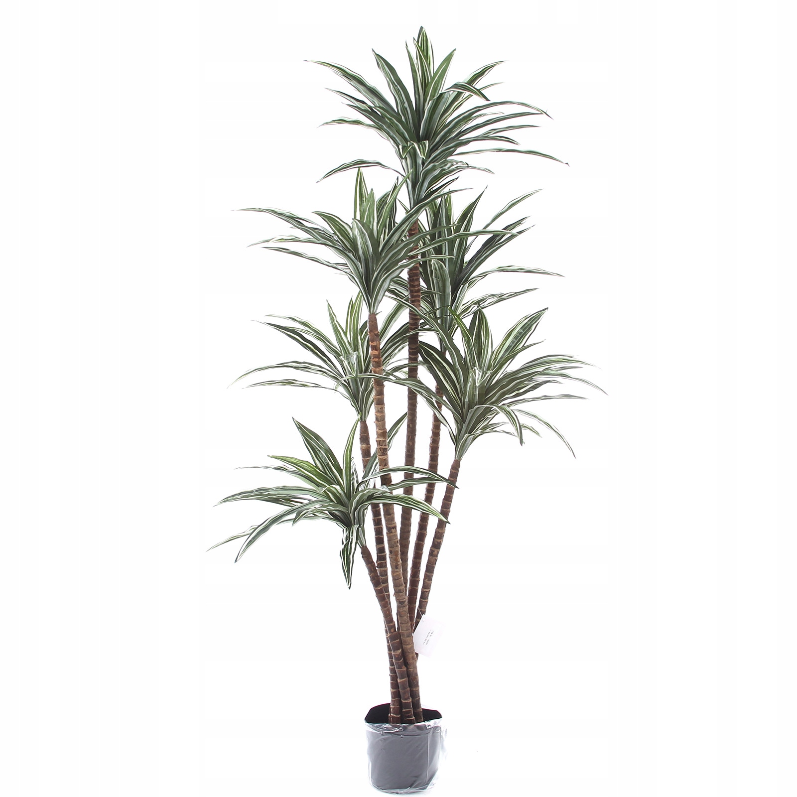 rozgałęziona Dracena 150 sztuczna 150 liści na prawdziwym pniu Realistyczna