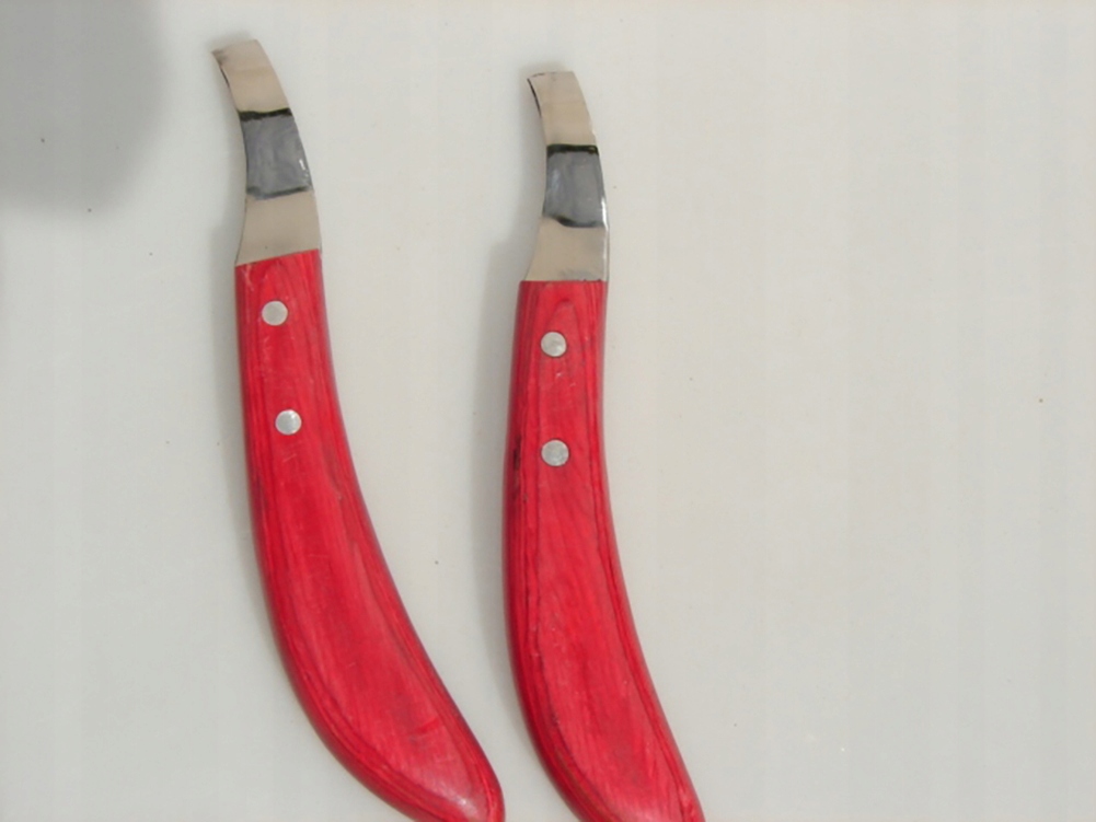 NÓŻ ŁEZKA DO KOREKCJI KOPYT -RACIC PROFESJONALNY Marka Tanie-siodła.pl