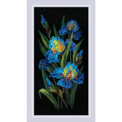 Riolis 2346 Krásné kosatce – sada pro křížkovou výšivku 25x50 cm