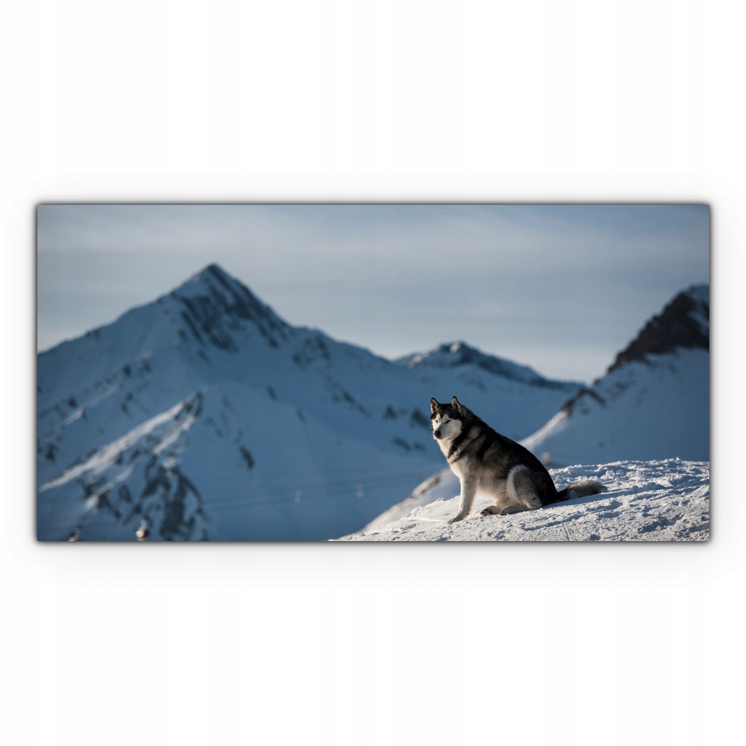 

Canvas płótno do sypialni 120x60 Husky Góry Pies