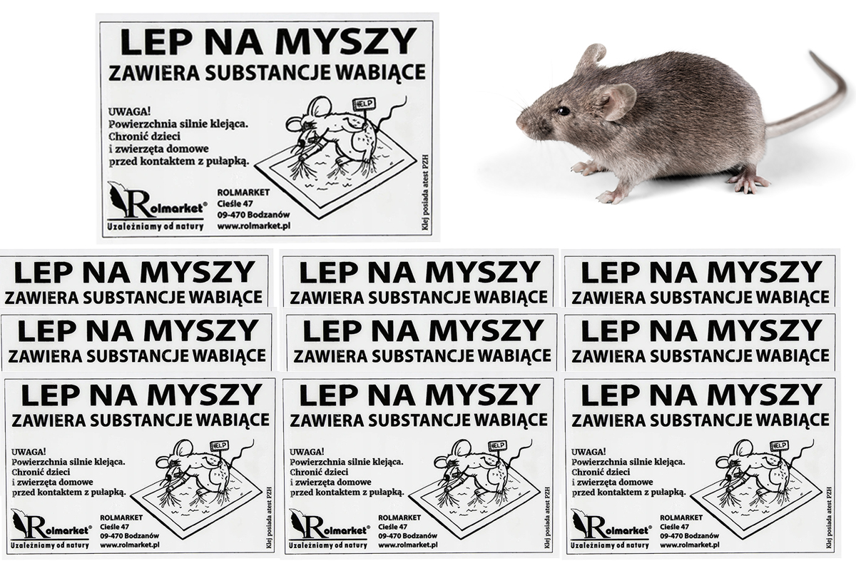 ŁAPKA LEPOWA NA GRYZONIE MYSZOŁAPKA LEP PUŁAPKA NA MYSZY klejowa 50 szt
