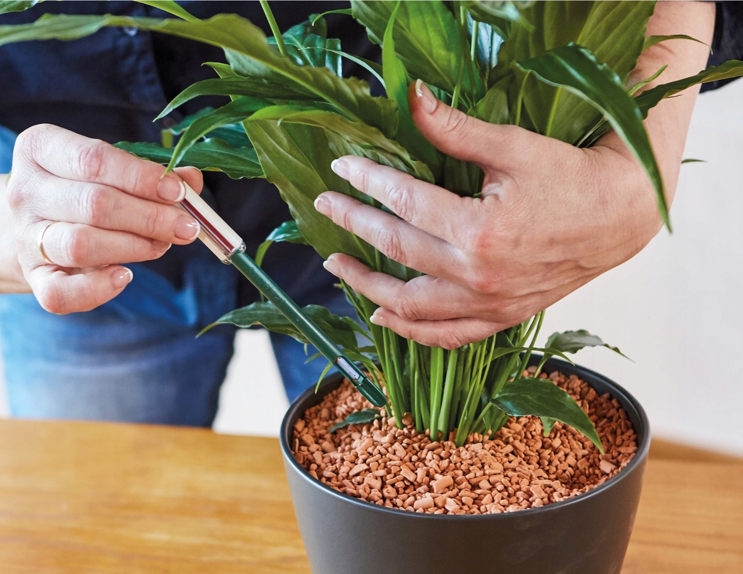 PODŁOŻE SERAMIS DO ROŚLIN DONICZKOWYCH 15L Kod producenta Seramis 15l