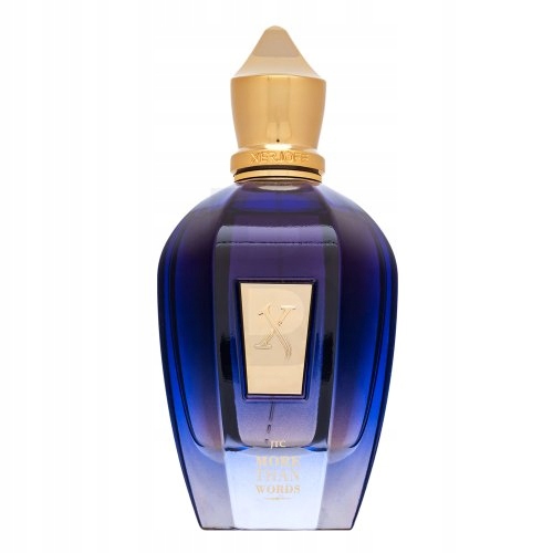 Xerjoff More Than Words parfémovaná voda unisex 100 ml