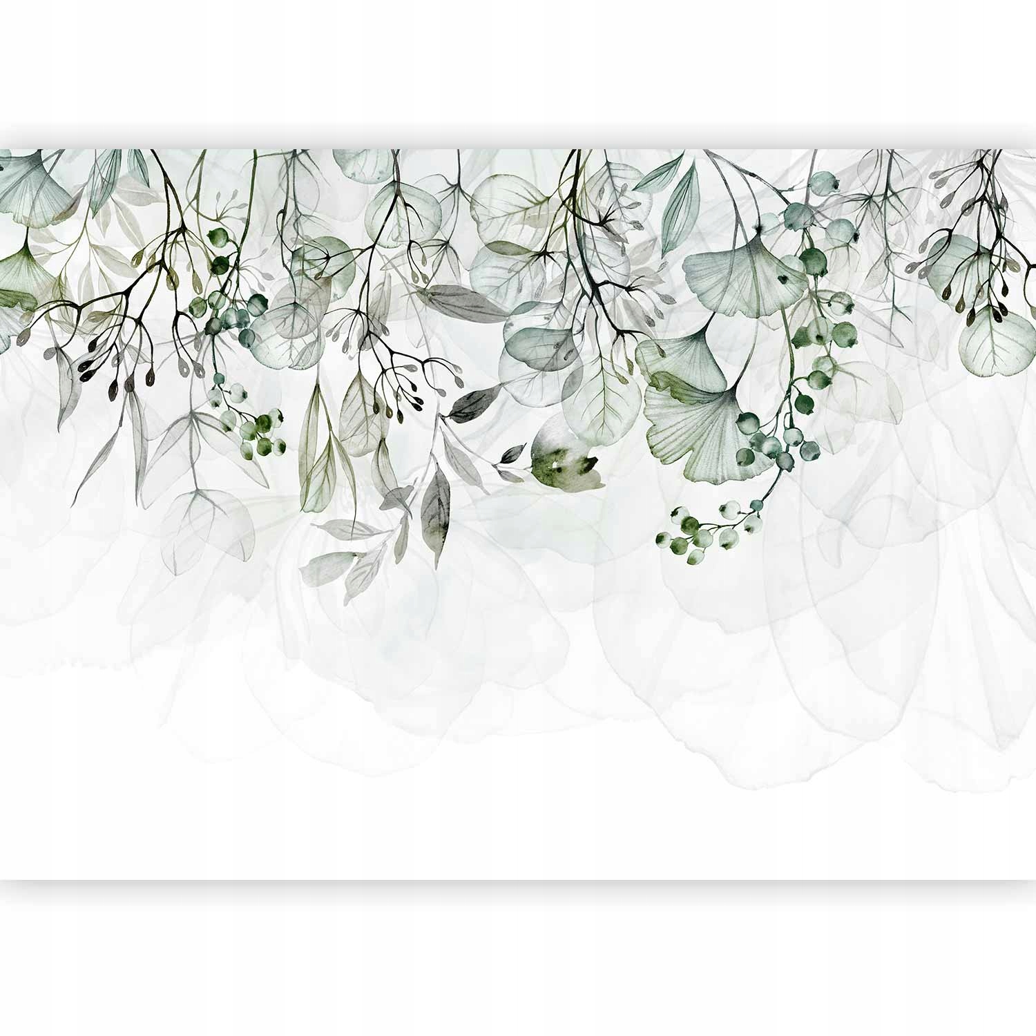 Fototapeta Liście Natura Wiszące Kwiaty Zieleń Boho Tapeta Ścienna 350x256
