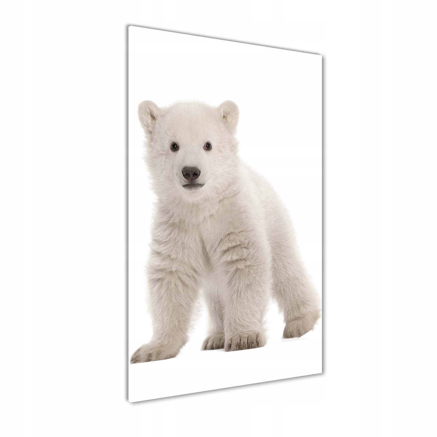 

Nowoczesny fotoobraz akrylowy Miś polarny 70x140cm