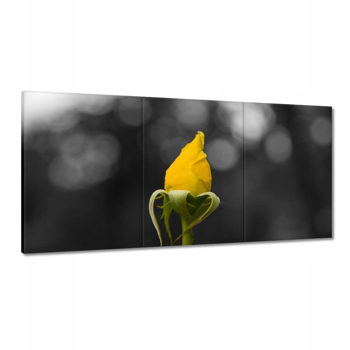 Obrazy 120x60 Žlutá růžička