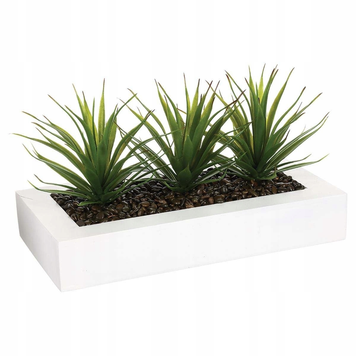 

Aloes w białej doniczce Dekoracja do łazienki