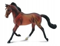 

Klacz Thoroughbred Maści Bay
