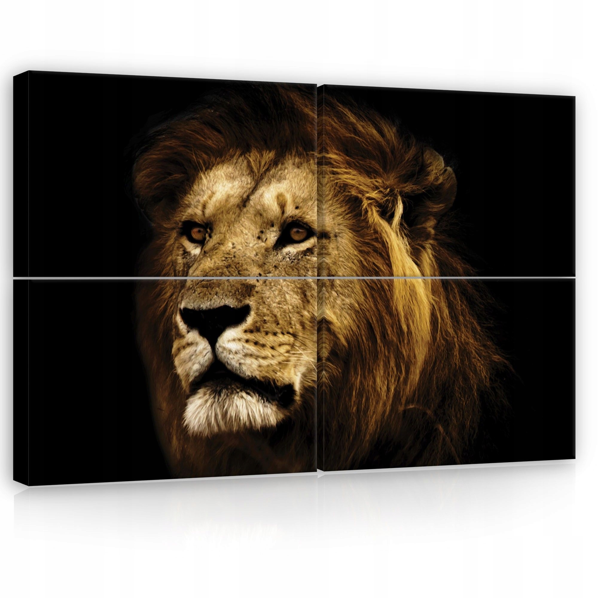 Obraz 120x80 Lev kráľ zvierat portrét sila príroda divoká príroda