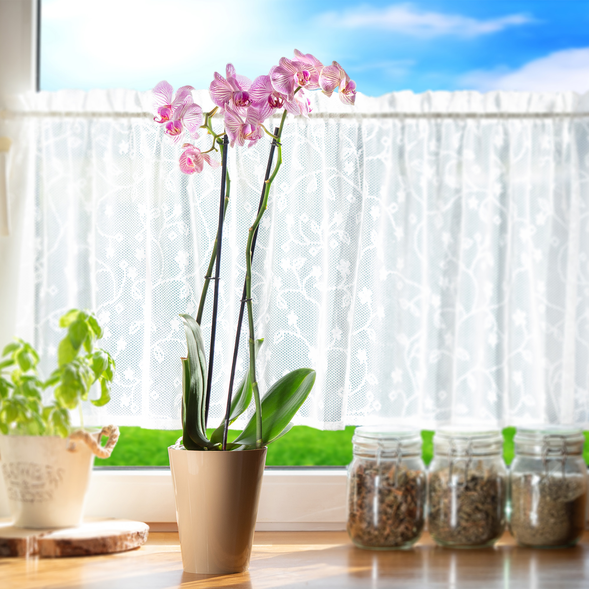 DONICZKA OSŁONKA NA STORCZYK KWIETNIK PLASTIKOWA KWIATY 13 CM BEŻOWA KADAX Marka Kadax