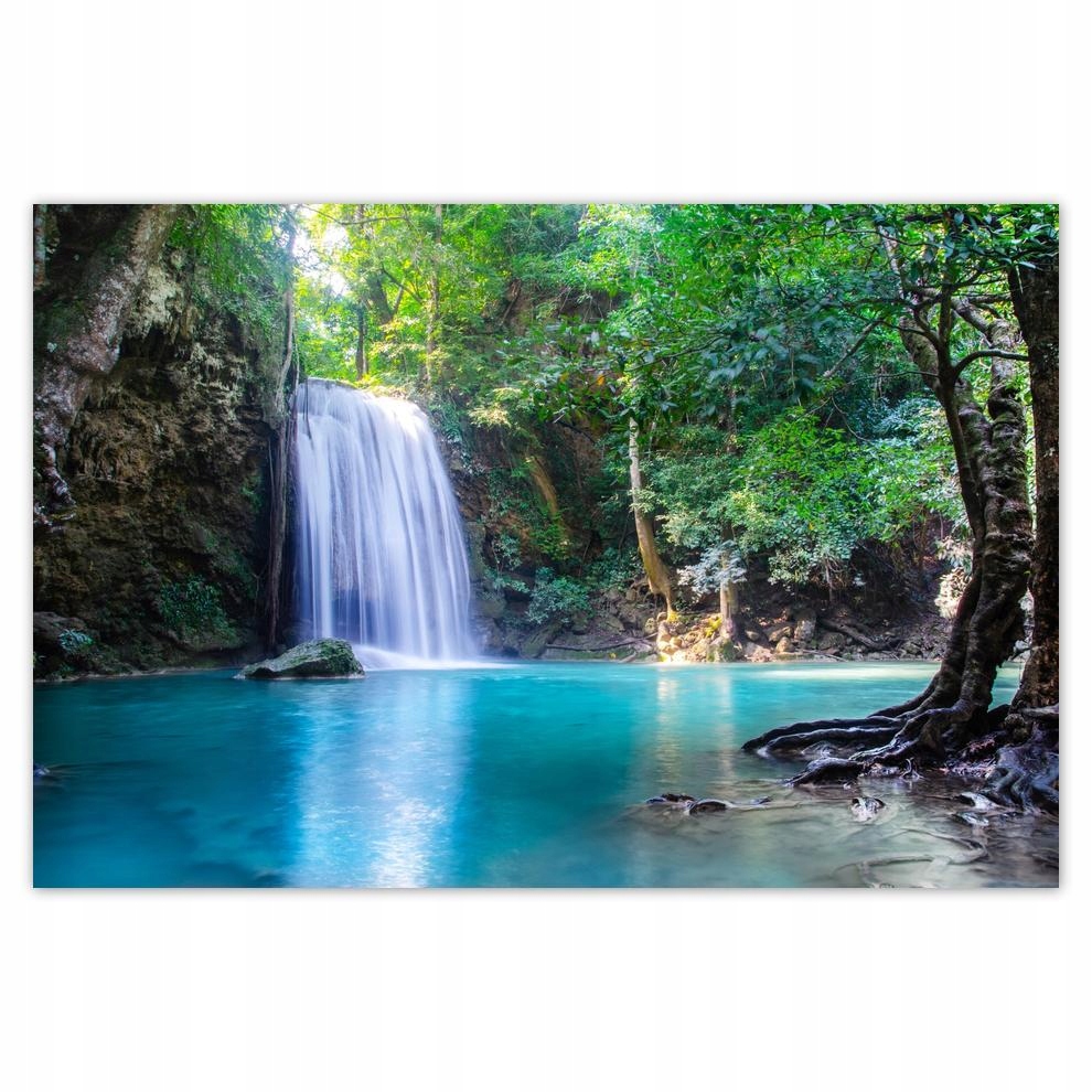 

Plakaty 60x40 Tajemniczy zakątek