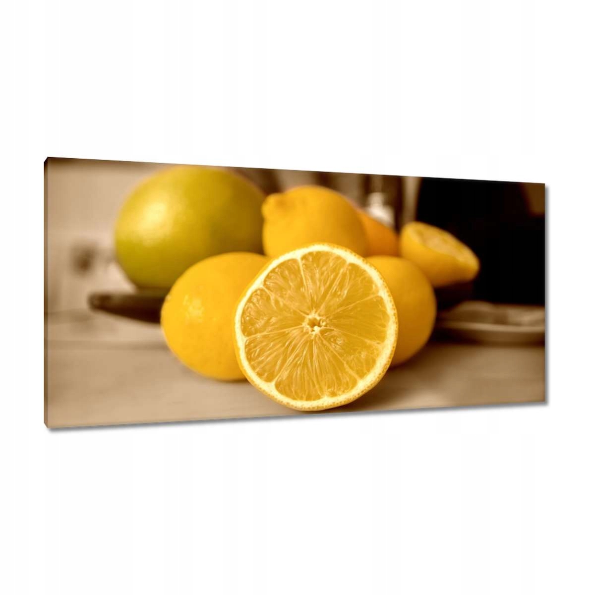 Obrazy 115x55 Citrony sépie