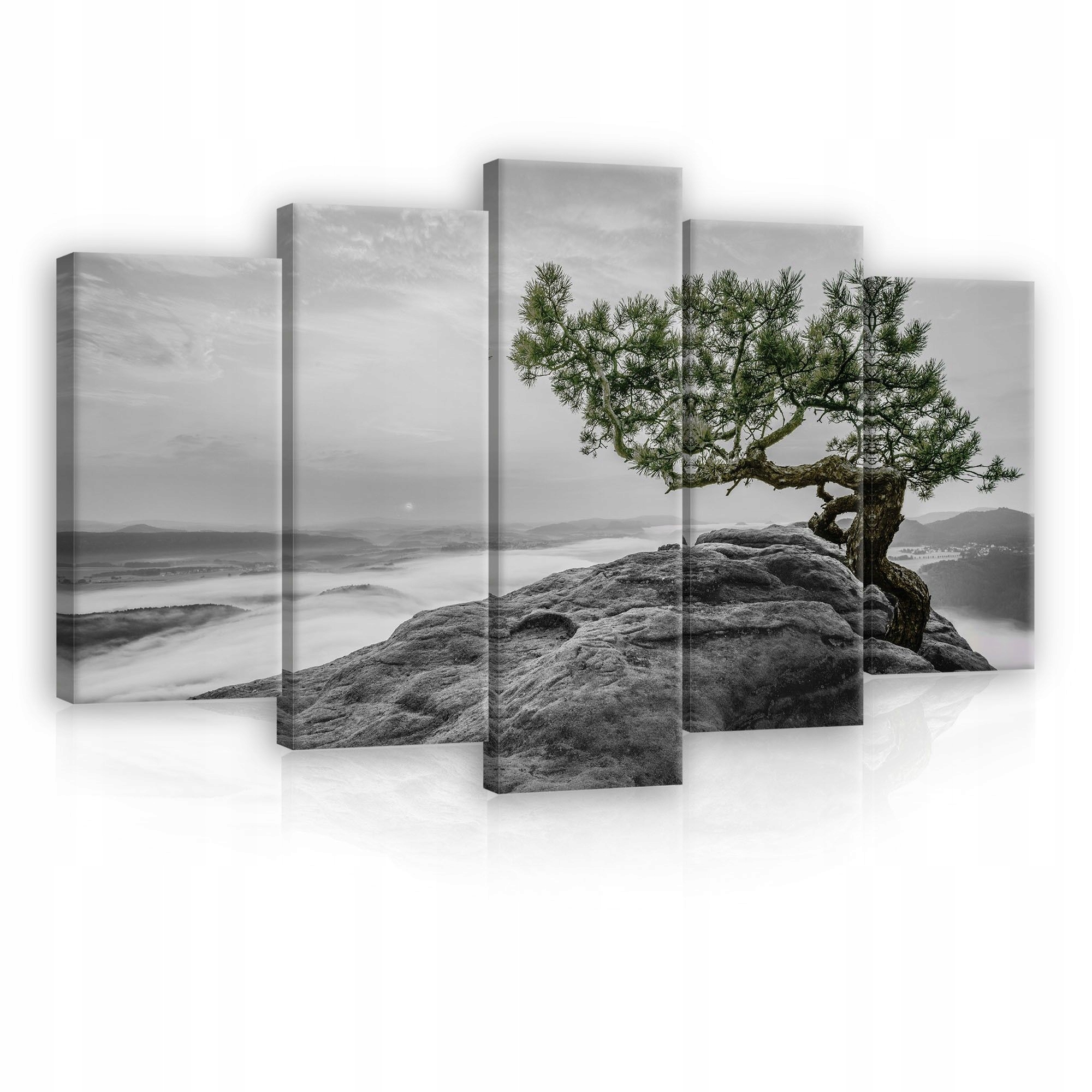 Obraz 100x60 Horská krajina mlha úsvit borovice osamělost příroda klid