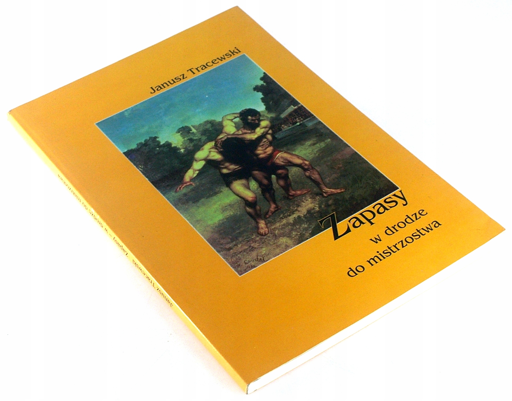 ZAPASY W DRODZE DO MISTRZOSTWA Janusz Tracewski BDB