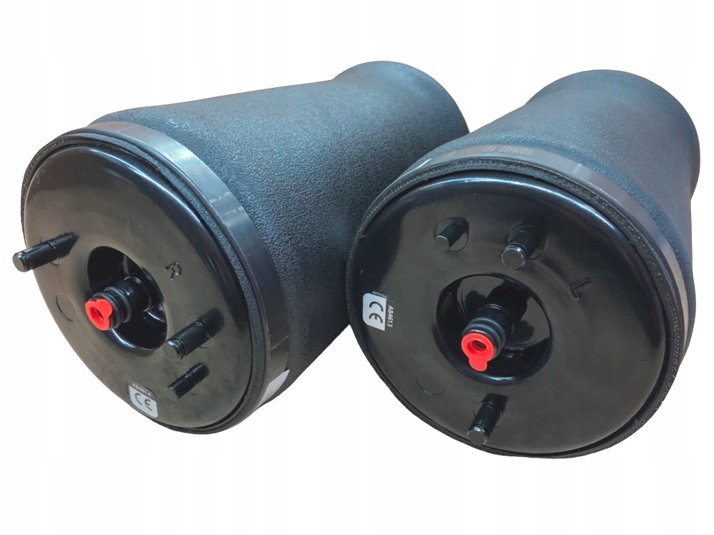 1094613-1094614 - Подушки підвіски ЗД BMW E39 1094613 1094614