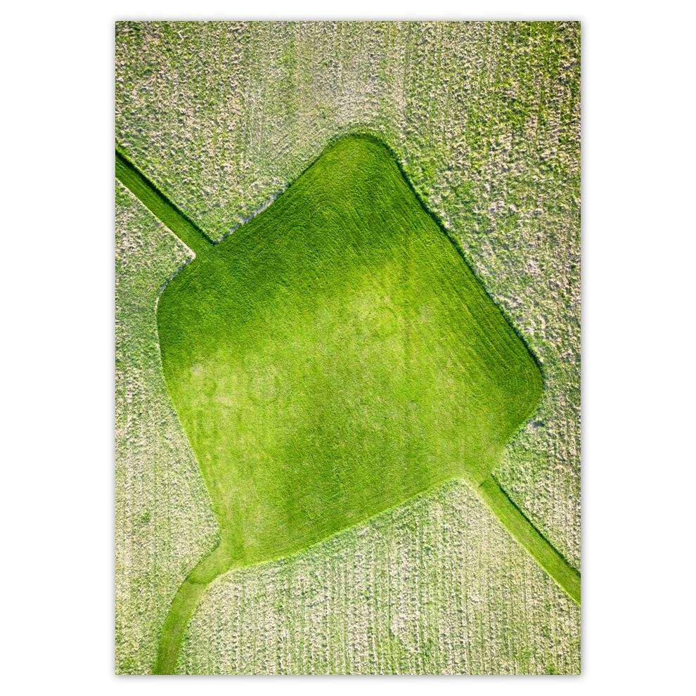 

Naklejki 50x70 Trawa Pole Łąka Droga