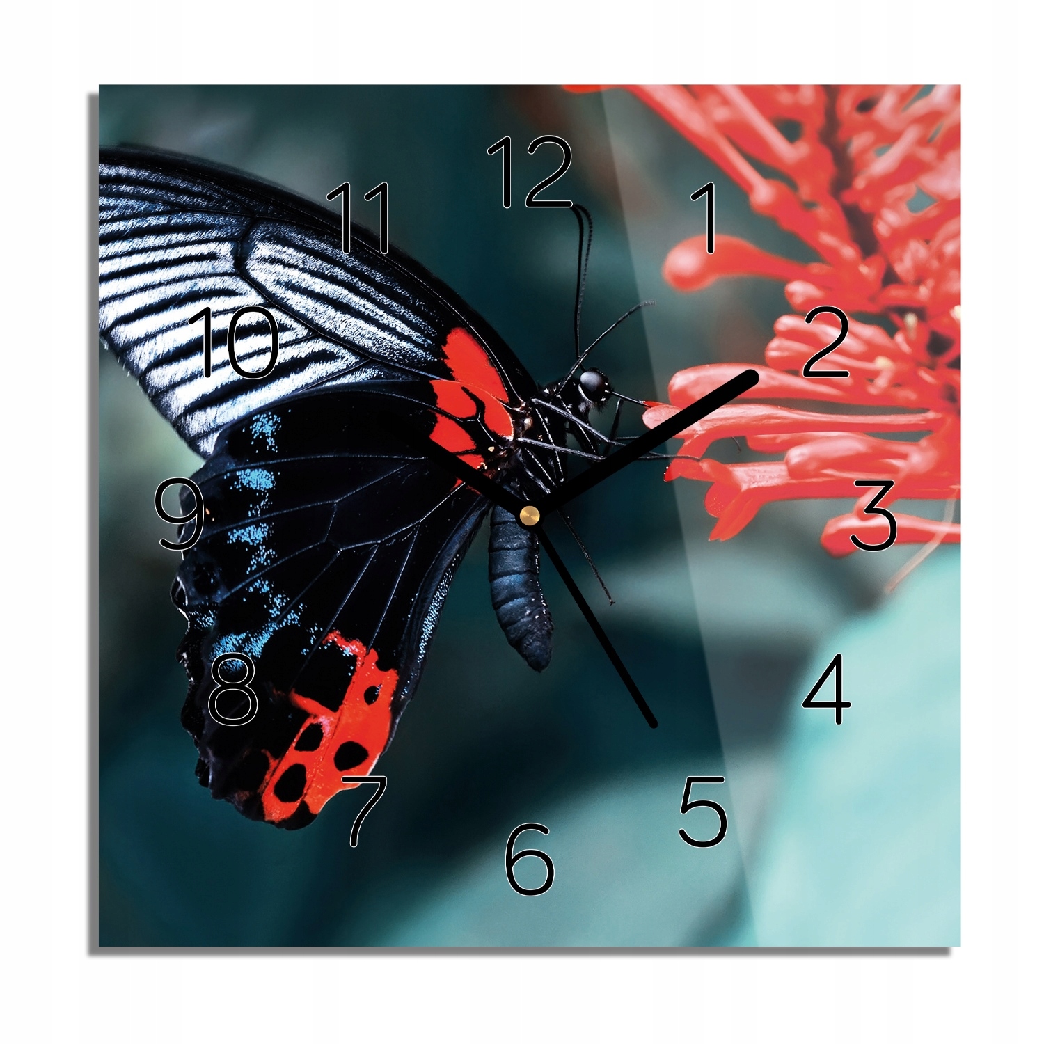 

Czarny motyl owad zegar szklany do jadalni 30x30