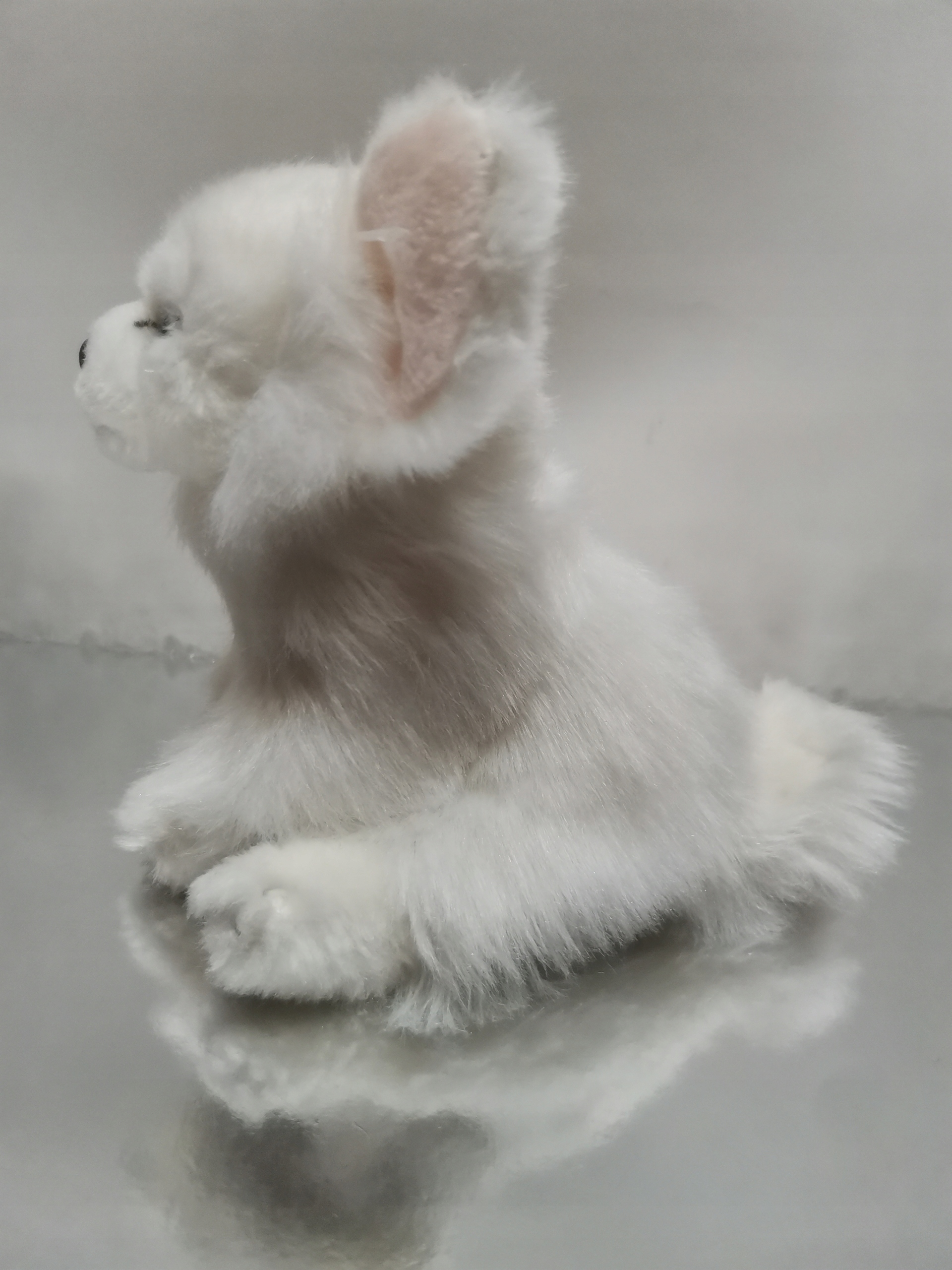 Biały piesek Chihuahua siedzący realistyczna maskotka 18cm cudny Kod producenta D22292A