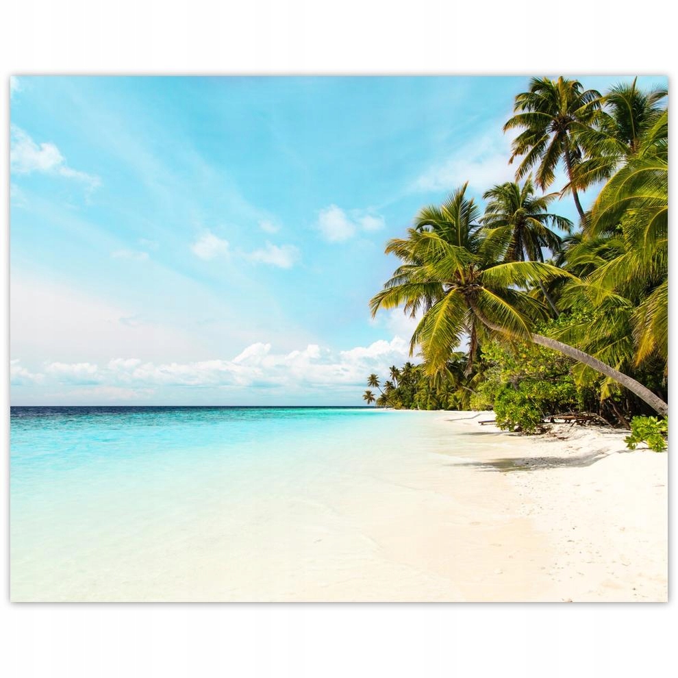 

Plakat 50x40 Tropiki Pejzaż Palmy