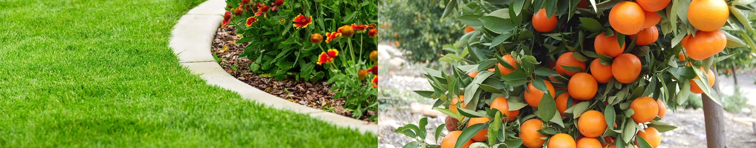 Kompaktowy zraszacz rotacyjny Rain Bird - 3504 PC - 10,7 m + Dysze Typ automatyczne wynurzalne