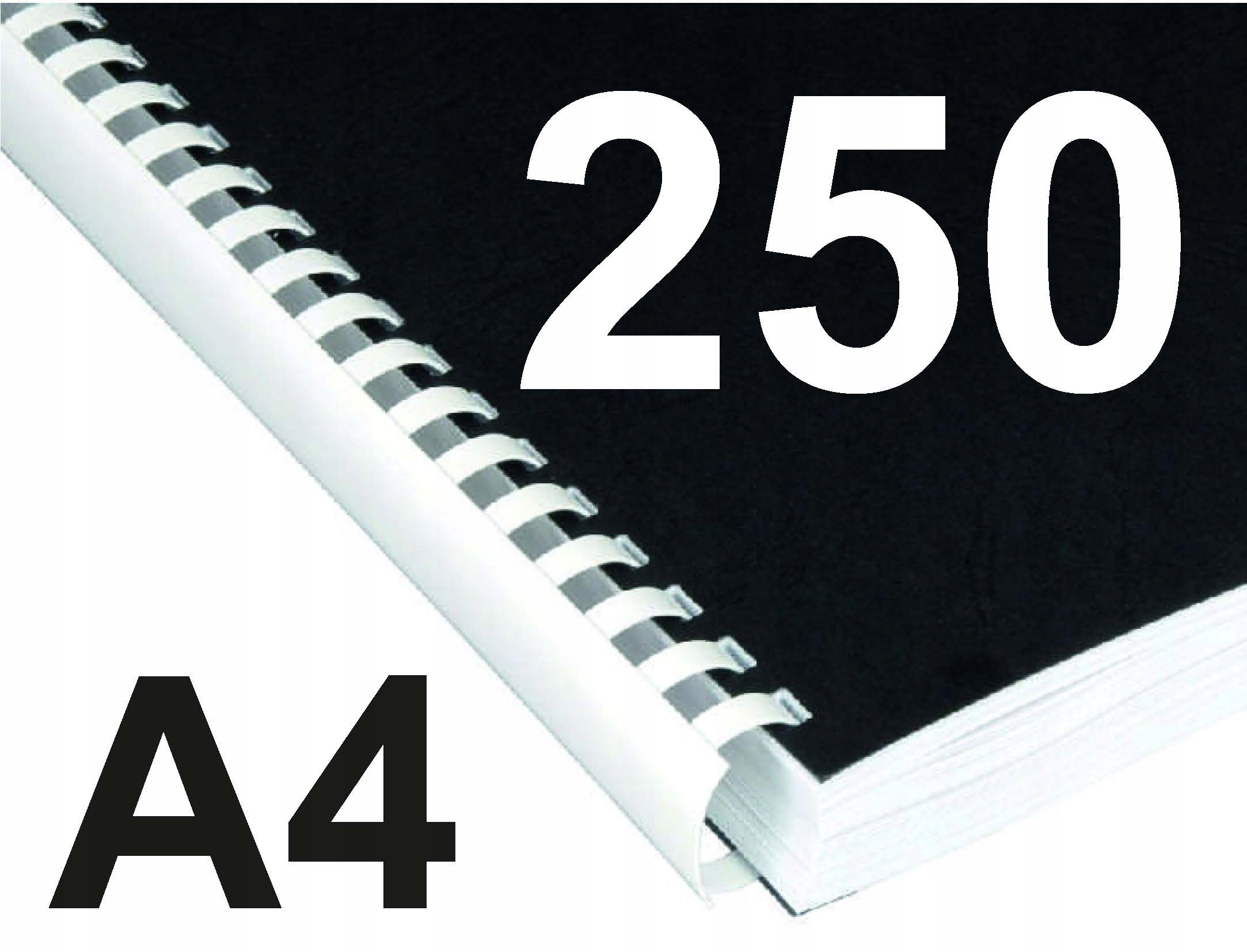 Druk Wydruk A4 mono do 250 stron + bindowanie