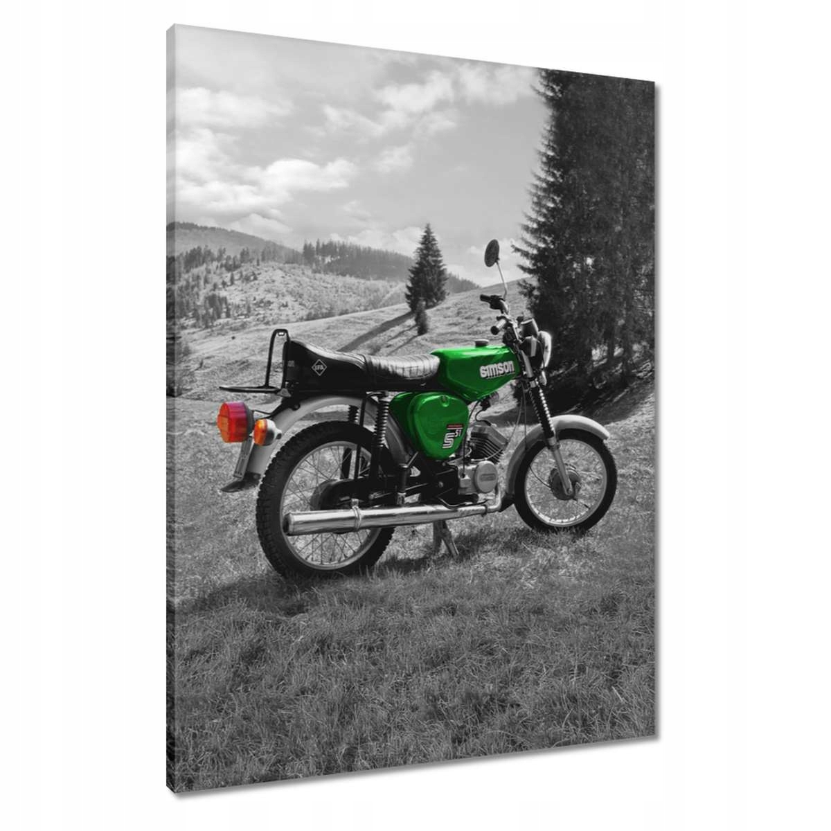 Obrazy 60x80 Zelený Simson S51 E