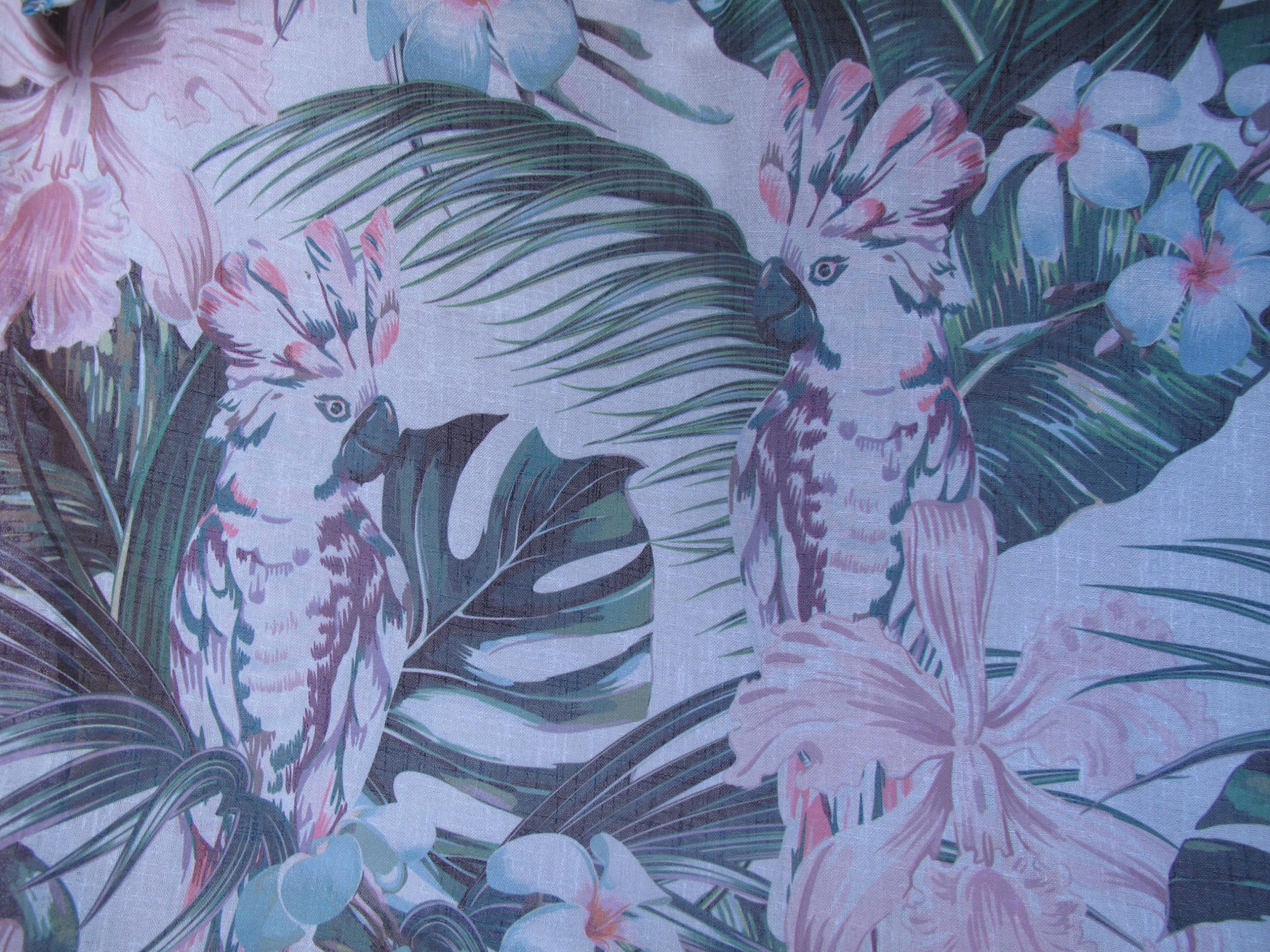 KAKADU W BUSZU ZASŁONA NOWA