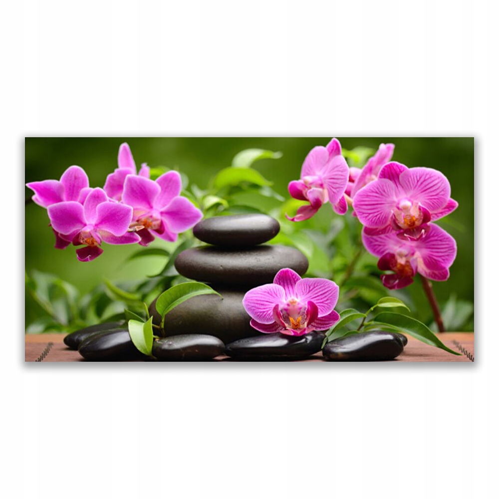 

Obraz akryl ścienny 120x60 Kwiat Kamienie Sztuka