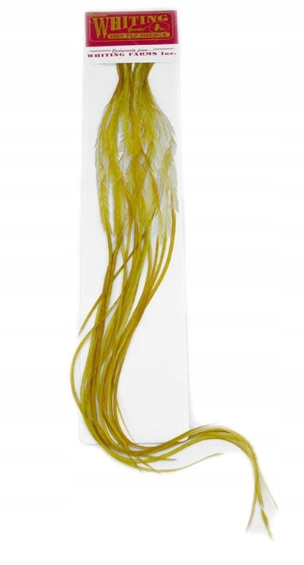 Whiting pióra 100 Pk White dyed Golden Olive #16
