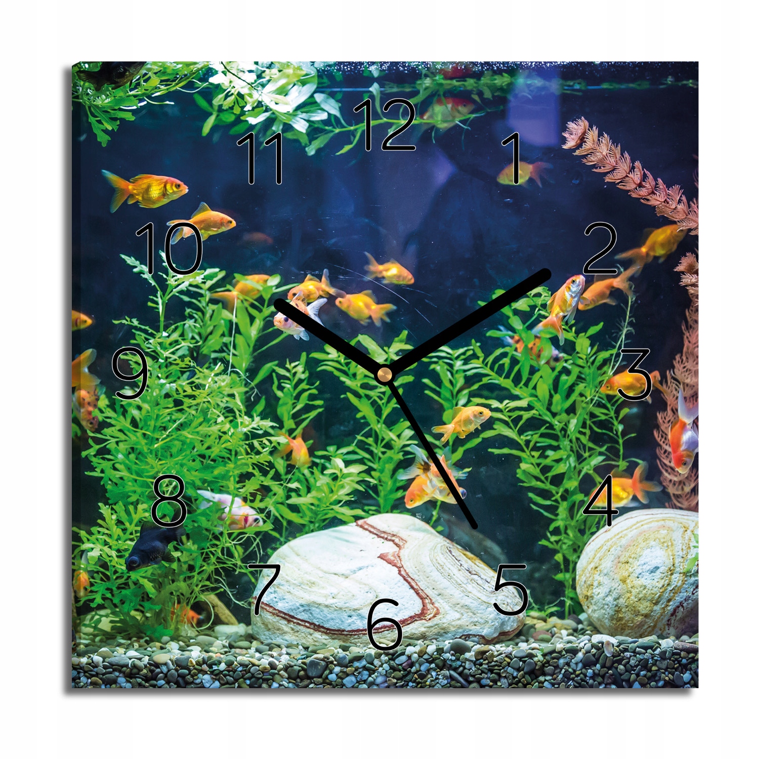 

zegar canvas Ryby akwarium ze zdjęciem 30x30 cichy
