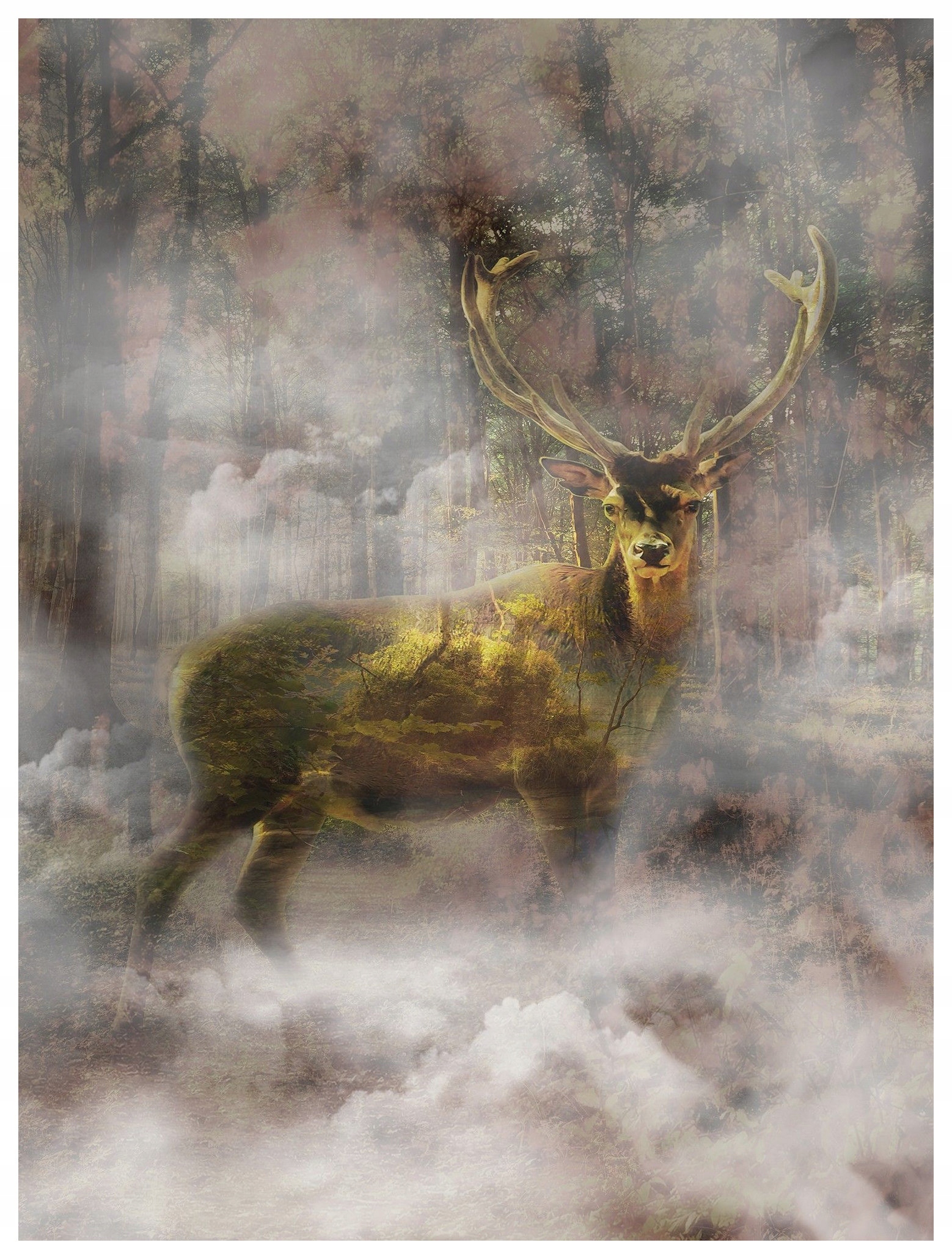 Fototapeta Jelen v mlze tajemný les u vás doma 206x275 lepidlo