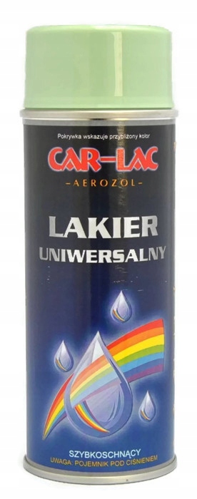 

6019 Ral Zielony Car Lak Spray 400ML Farba Lakier