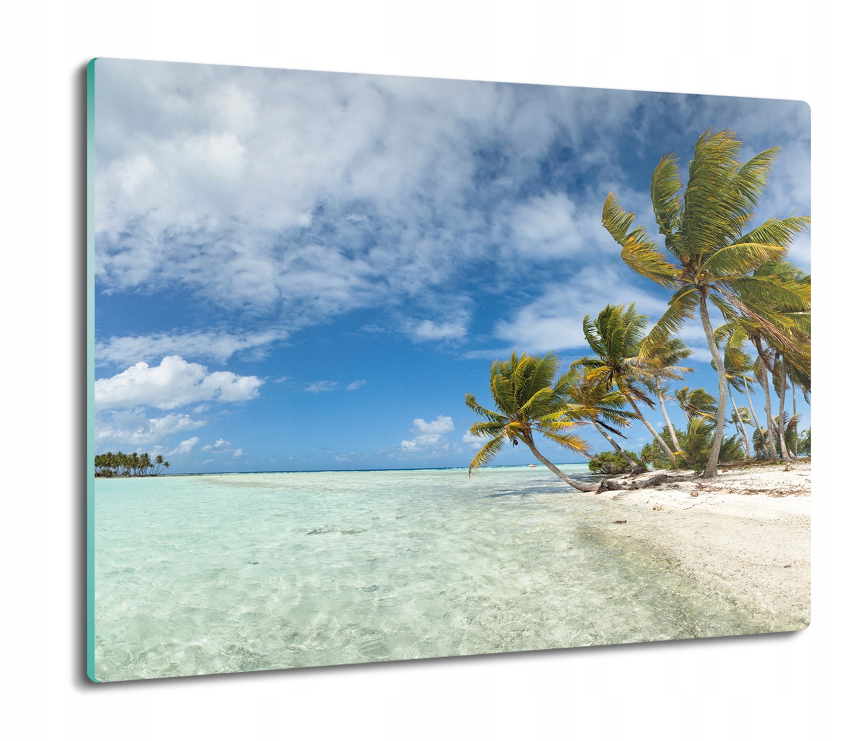 

Panorama plaża palmy 60x52 deska ze szkła kuchenna