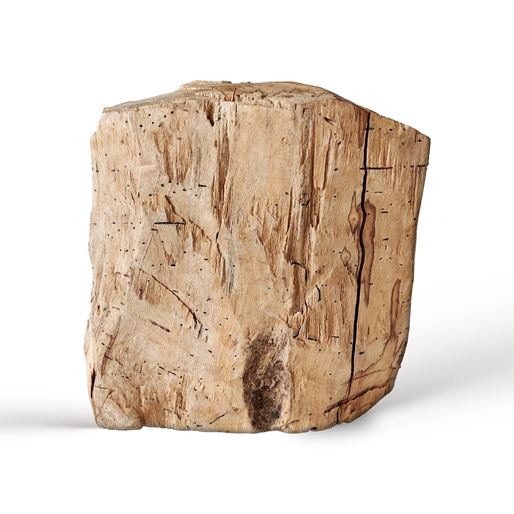 Kadidlo na relaxáciu Kmeň Certifikované Palo Santo Ekvádor 4.8 kg