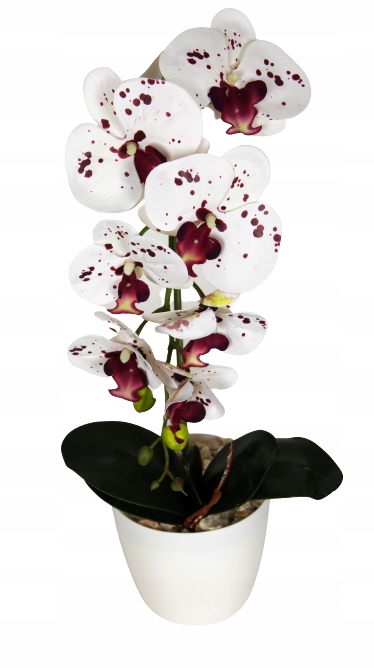 

Storczyk Sztuczny Orchidea Kwiaty Silikonowy