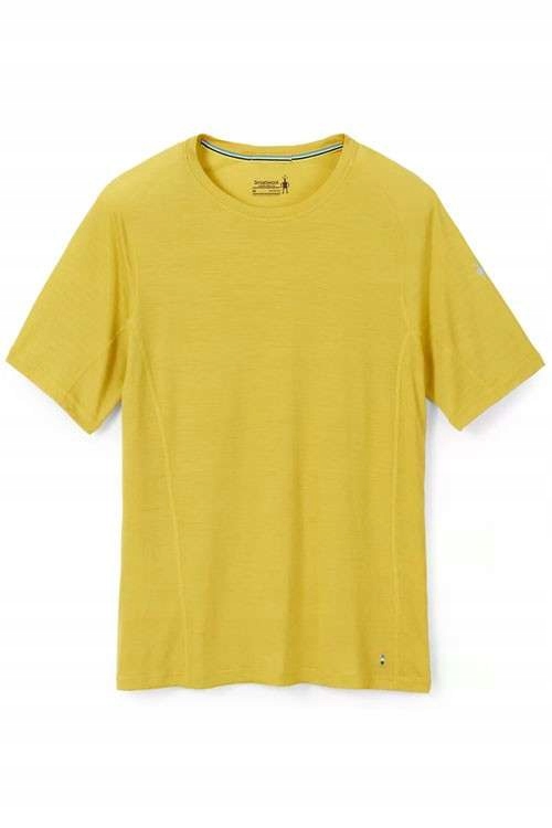 Koszulka SMARTWOOL M'S ACTIVE ULTRALITE Płeć mężczyzna