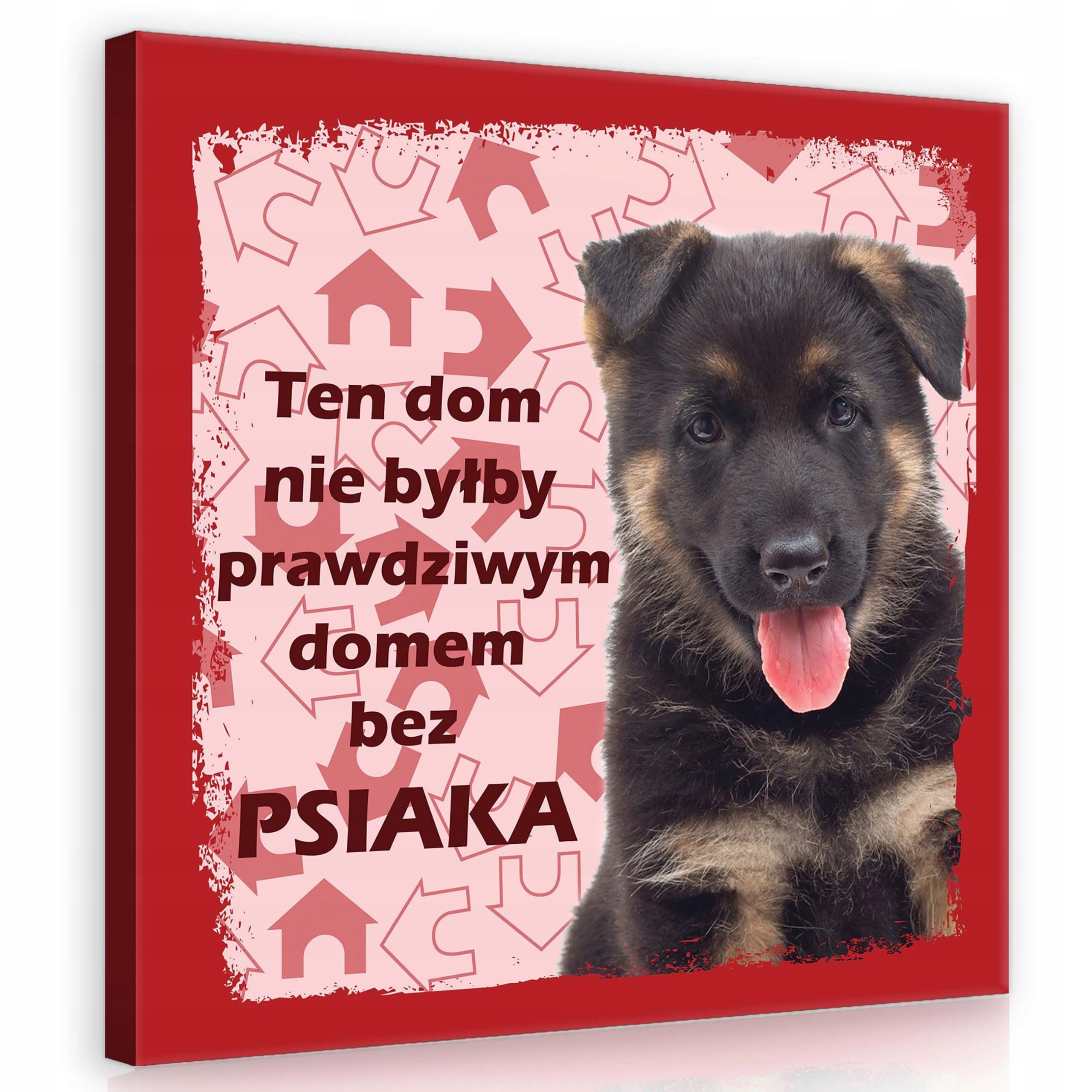 Obraz 80x80 Štěňátko pes dům láska mazlíček německý ovčák útulný